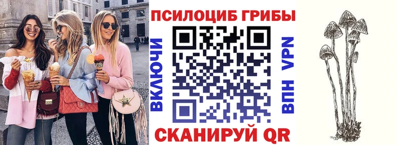 Псилоцибиновые грибы мухоморы  Калининск 