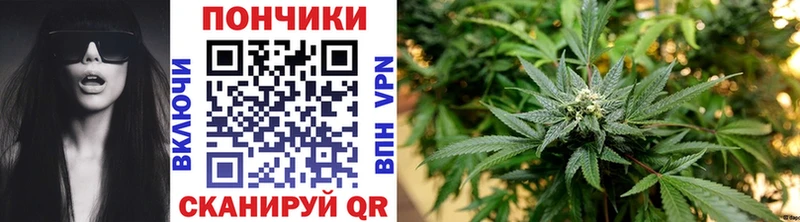 Бошки Шишки VHQ  Калининск 